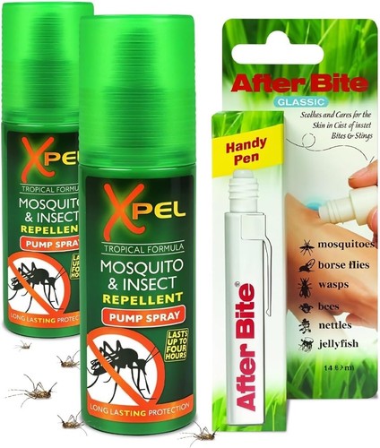 Mosquito bug insect - mosquito,, &