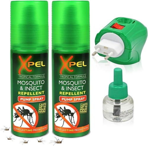Mosquito bug insect - bug,